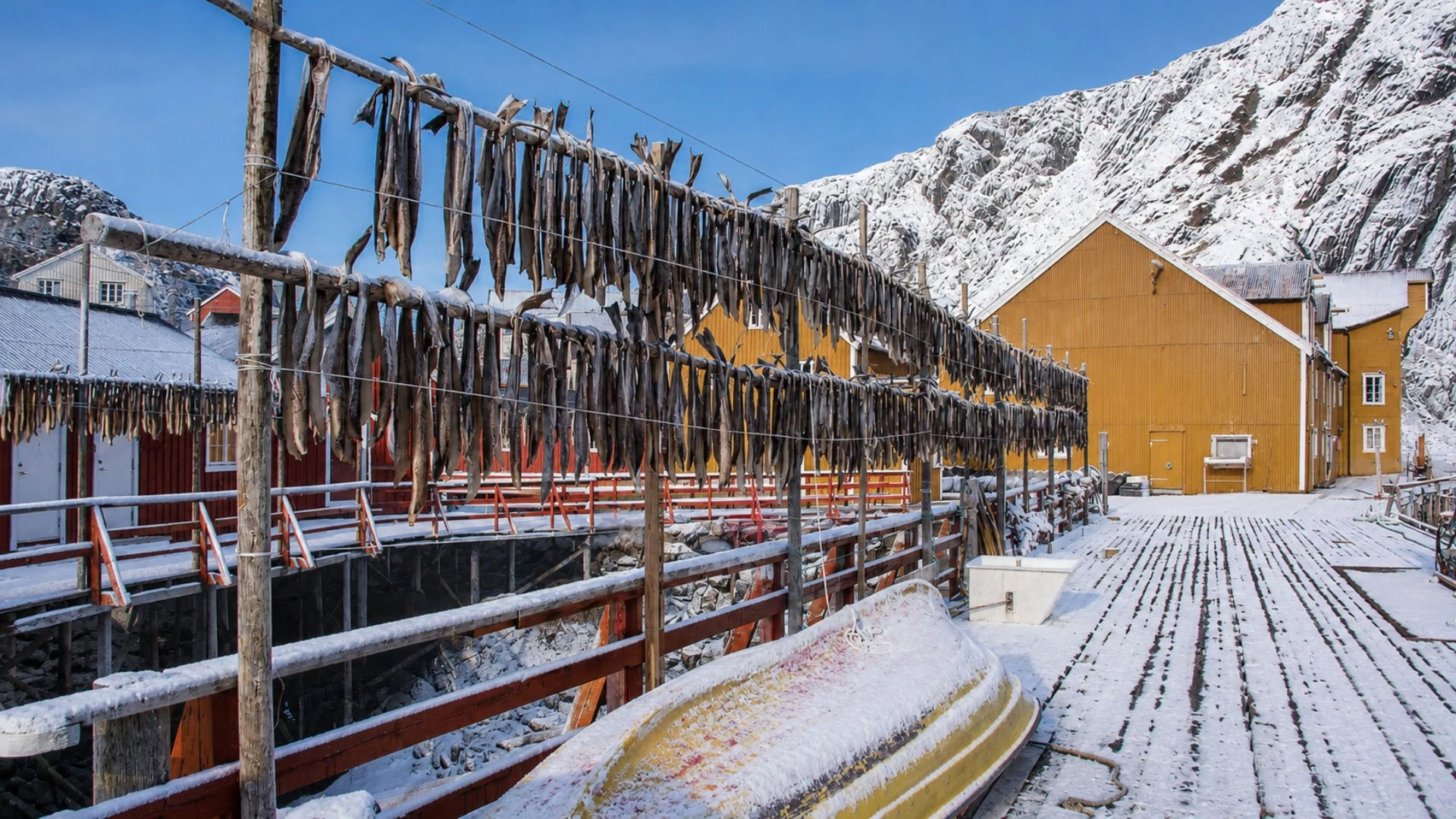 Isole Lofoten